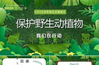 2022保护野生动植物PPT卡通简约风世界野生动植物日知识介绍课件模板