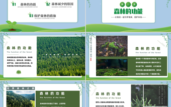 2023保护森林PPT简约风爱护地球保护森林主题班会课件模板下载