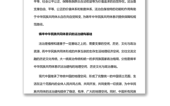 以法治为保障铸牢中华民族共同体意识深入学习中央民族工作会议
