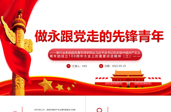 庆祝中国共产党成立100周年大会上的重要讲话精神 ppt