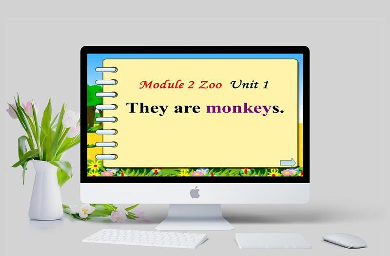  They are monkeys 英语课件PPT模板