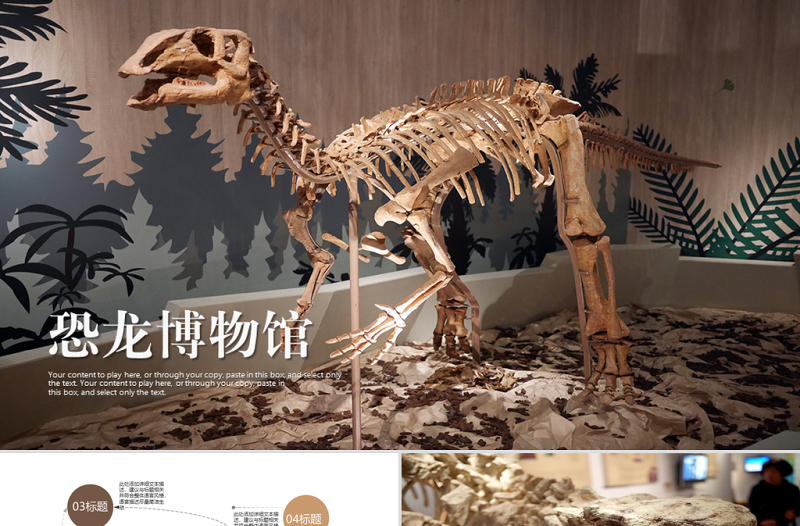 恐龙化石博物馆ppt动态模板