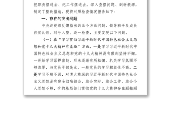 领导班子2018年中央巡视反馈意见整改落实专题民主生活会对照检查材料