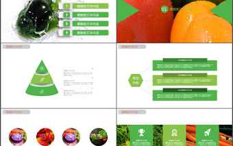 有机水果健康养生蔬菜果园品牌宣传总结计划