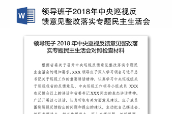 审计反馈问题整民主生活会对照检查