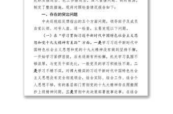 领导班子2018年中央巡视反馈意见整改落实专题民主生活会对照检查材料