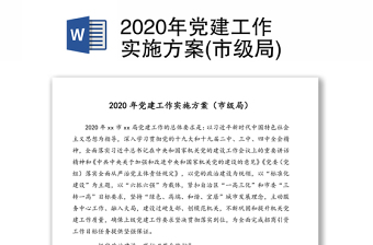 2020年党建工作实施方案(市级局)