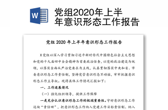 党组2020年上半年意识形态工作报告