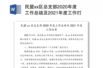 民盟xx区总支部2020年度工作总结及2021年度工作打算