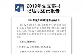 2019年党支部书记述职述责报告