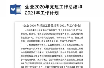 企业2020年党建工作总结和2021年工作计划