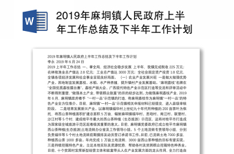 2019年麻垌镇人民政府上半年工作总结及下半年工作计划