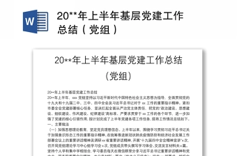 20**年上半年基层党建工作总结(党组)