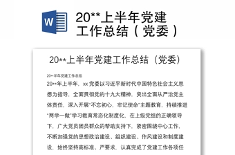 20**上半年党建工作总结(党委)