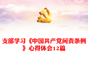 支部学习《中国共产党问责条例》心得体会12篇