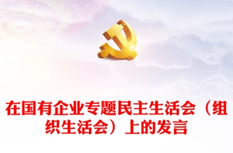 在国有企业专题民主生活会(组织生活会)上的发言