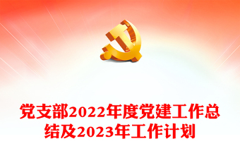 2022党建工作总结及工作总结