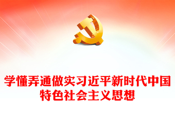 学懂弄通做实习近平新时代中国特色社会主义思想