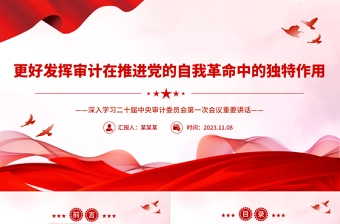 党建风深入学习二十届中央审计委员会第一次会议重要讲话PPT专题课件模板