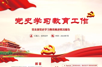 红色党政风党支部党史学习教育工作推进情况总结报告建党百年学党史汇报PPT