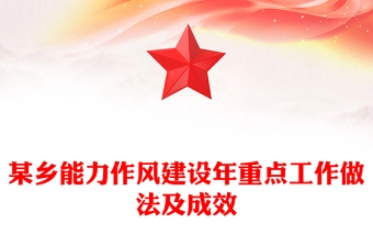某乡能力作风建设年重点工作做法及成效