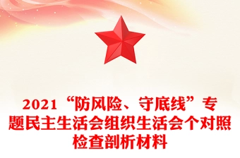 2021“防风险、守底线”专题民主生活会组织生活会个对照检查剖析材料