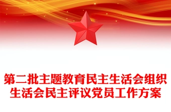 第二批主题教育民主生活会组织生活会民主评议党员工作方案