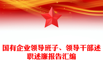2025述责述廉报告审核意见