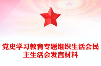 党史学习教育专题组织生活会民主生活会发言材料