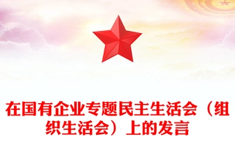 在国有企业专题民主生活会(组织生活会)上的发言