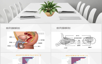 前列腺癌大学课件PPT