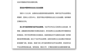 法治中国建设迈出坚实步伐党员干部深入学习《决议》专题