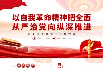 2025十二月主题党日ppt免费