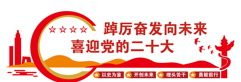 2022踔厉奋发向未来喜迎党的二十大文化墙简洁党员活动室党建文化墙模板