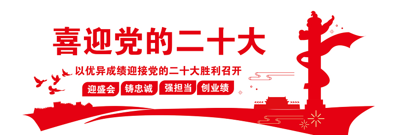 2022喜迎党的二十大文化墙简洁党员活动室党建长廊文化墙模板