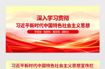 新时代中国特色社会主义思想宣传栏精美简洁学思想强党性重实践建新功党建展板设计