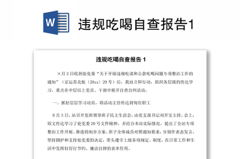 2025干部违规吃喝自查报告ppt