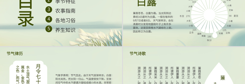 2021白露节气PPT清新简雅二十四节气中国传统文化主题班会课件下载