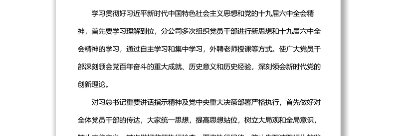 公司纪检委员落实全面从严治党主体责任情况报告