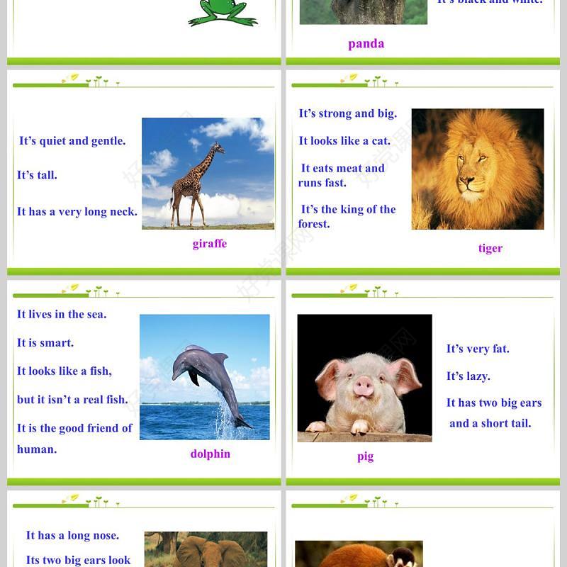  Why do you like pandas英语课件PPT模板