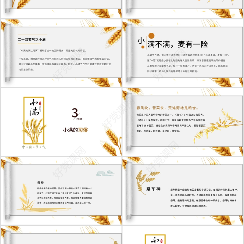 简约风麦穗中国二十四节气小满介绍PPT模板