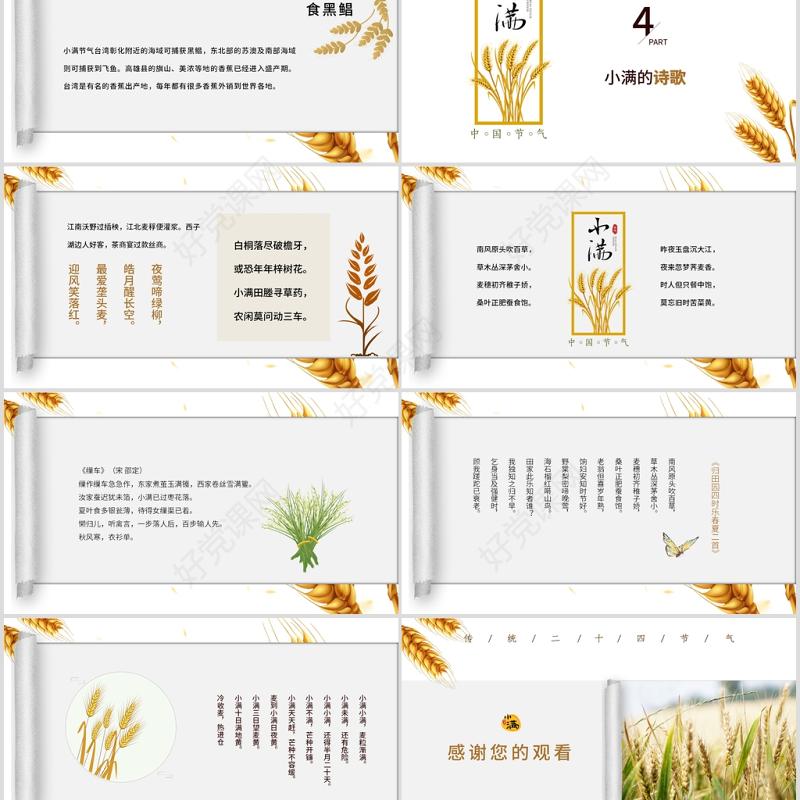 简约风麦穗中国二十四节气小满介绍PPT模板