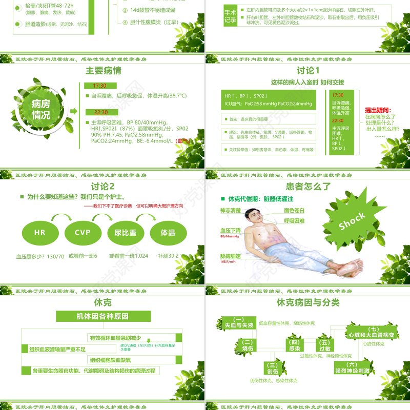 感染性休克肝胆内结石护理教学查房PPT模版