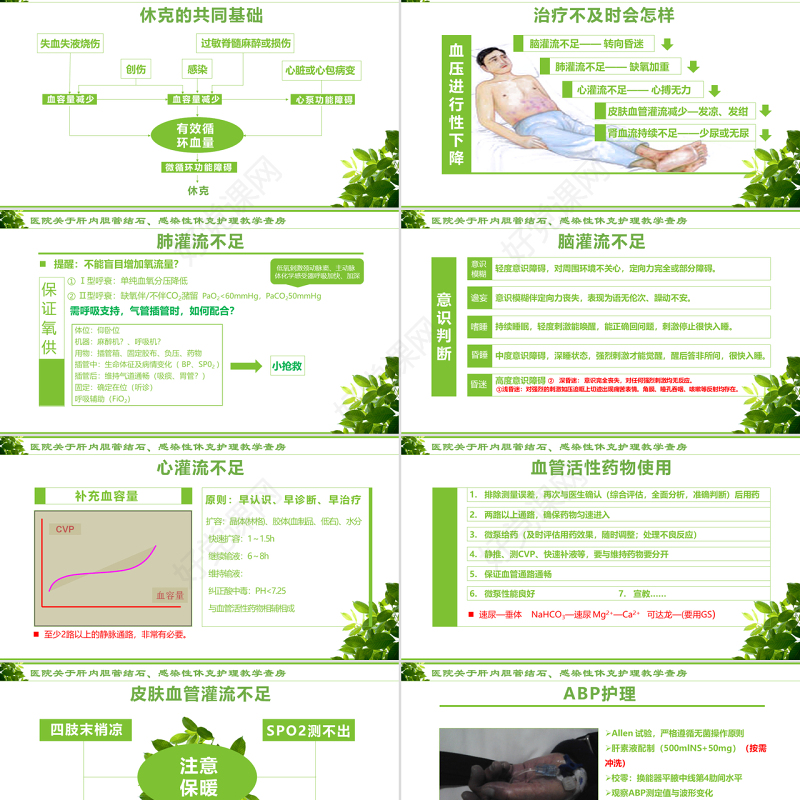 感染性休克肝胆内结石护理教学查房PPT模版