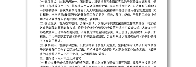 市民政局干部选拔任用工作专题报告范文