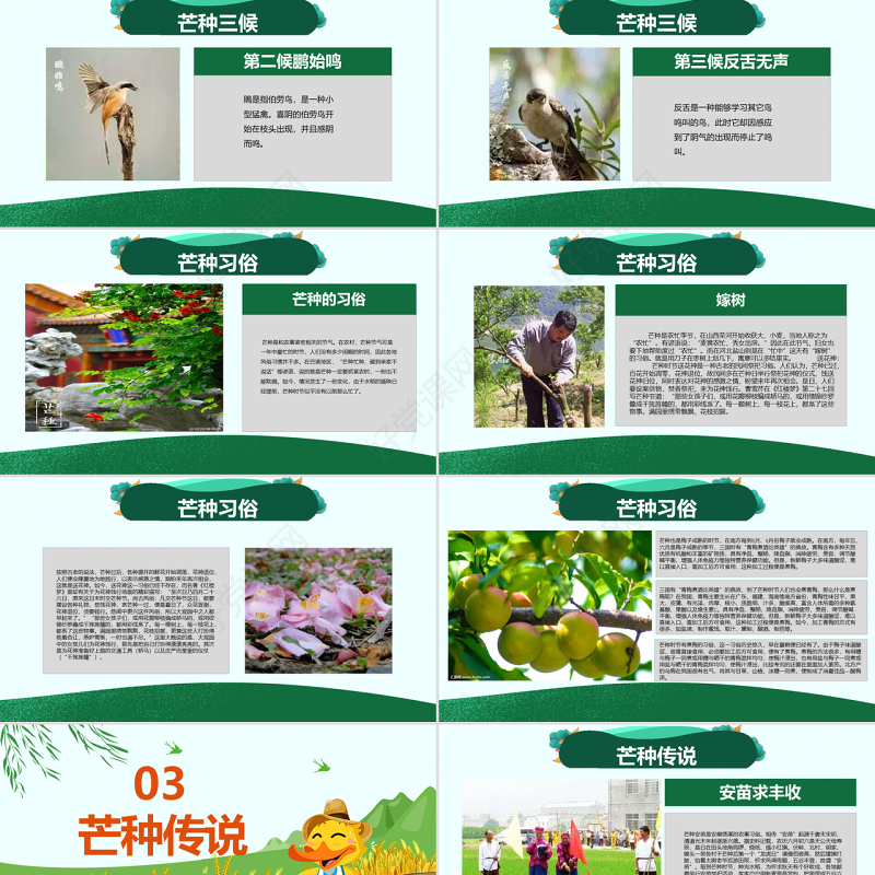 原创绿色清新芒种节气中国二十四节气PPT班会-版权可商用
