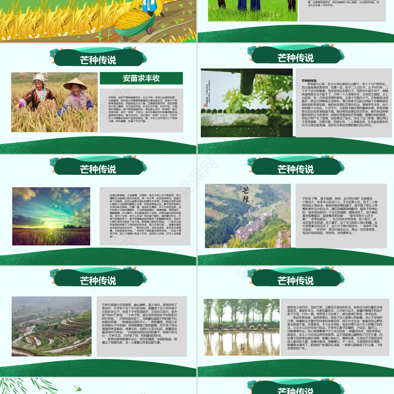 原创绿色清新芒种节气中国二十四节气PPT班会-版权可商用