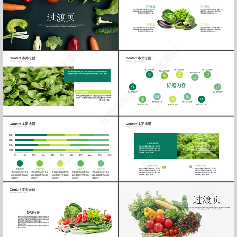 健康饮食食物营养搭配PPT模板