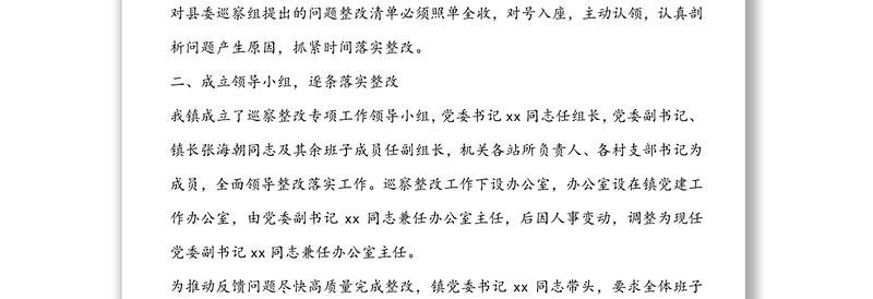 关于党委主要负责人组织落实巡察整改工作情况的报告