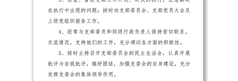 党支部工作计划党支部职责分工